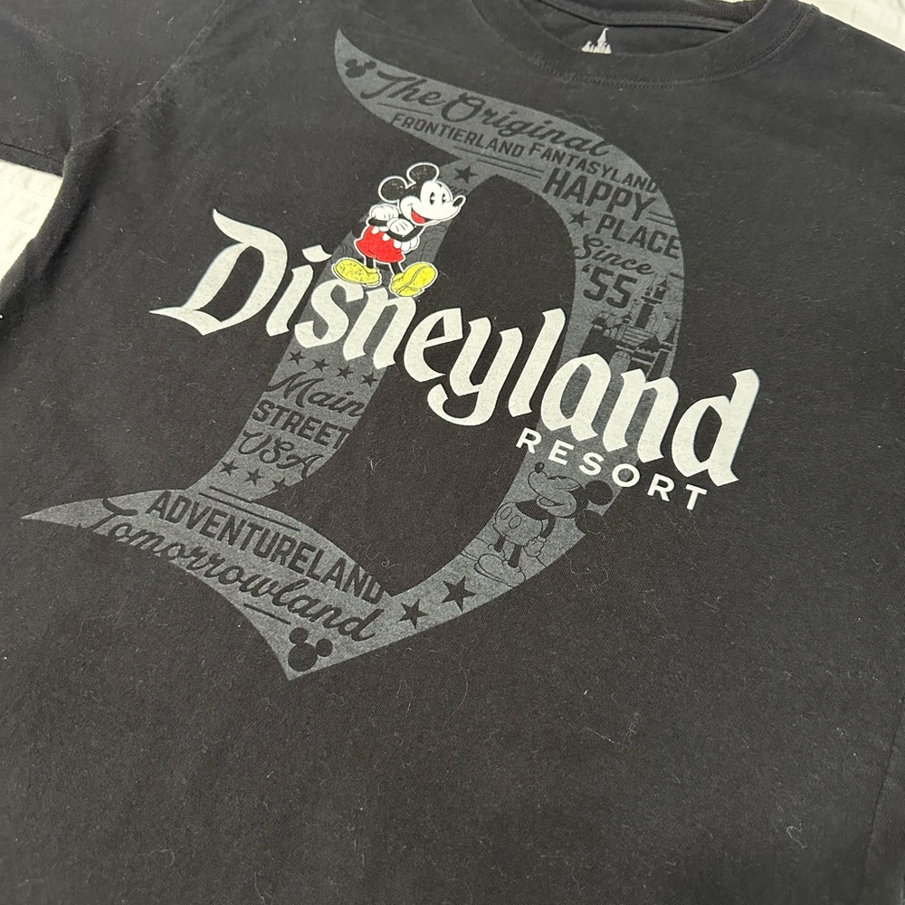 Disneyland Park Long Sleeve. Small